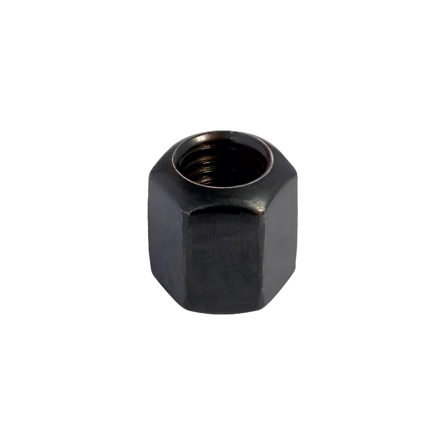 Hex Nut