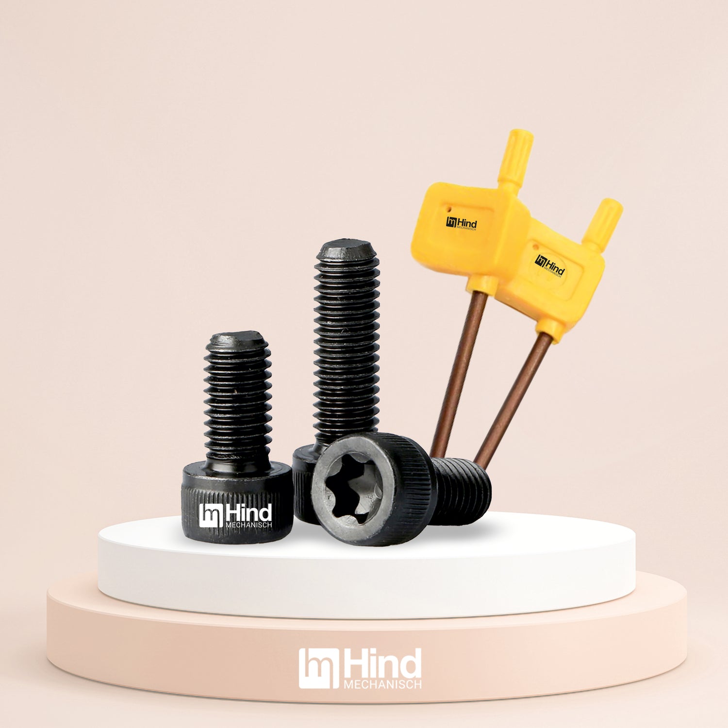Torx Screw and Torx Key
