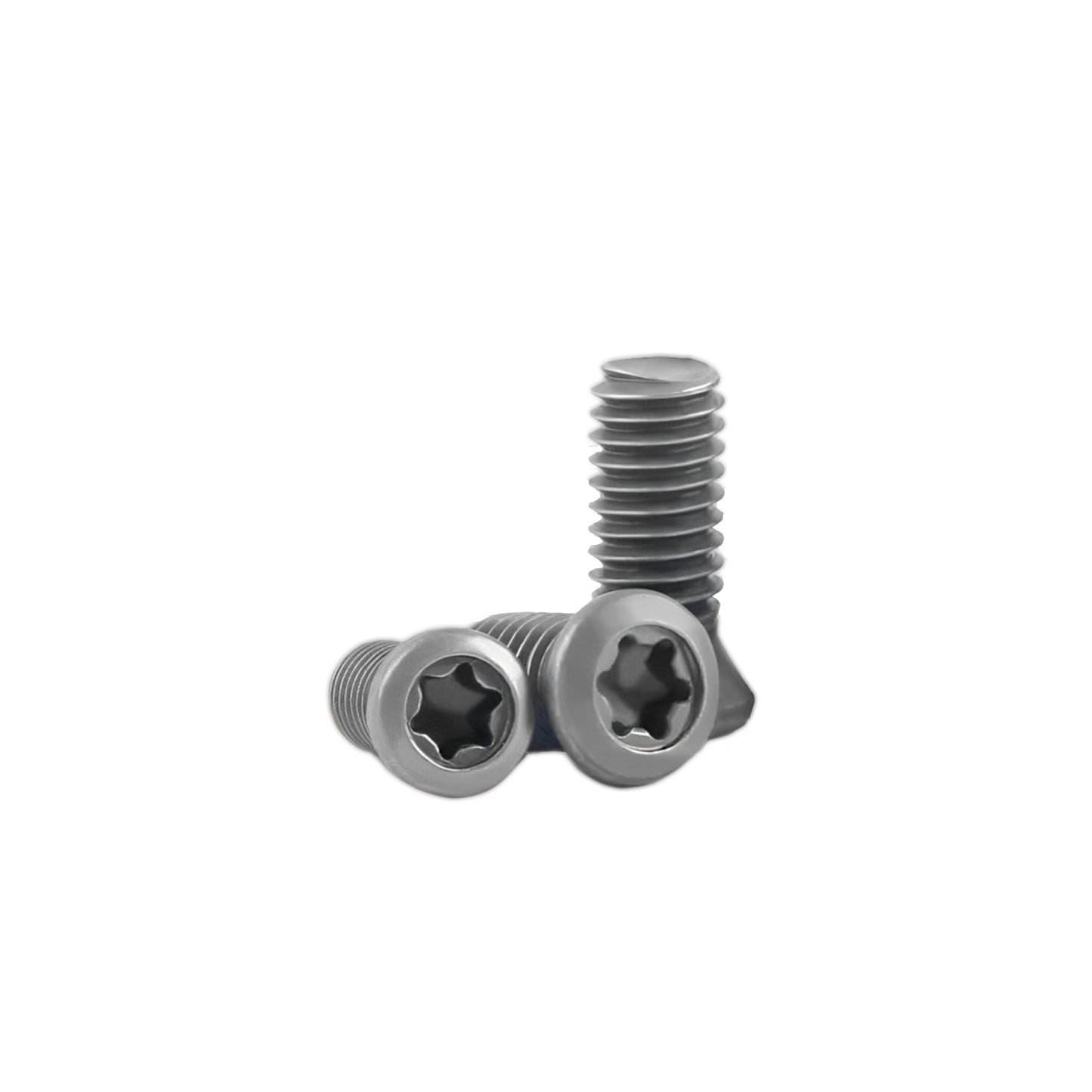 Torx Screw Spanner