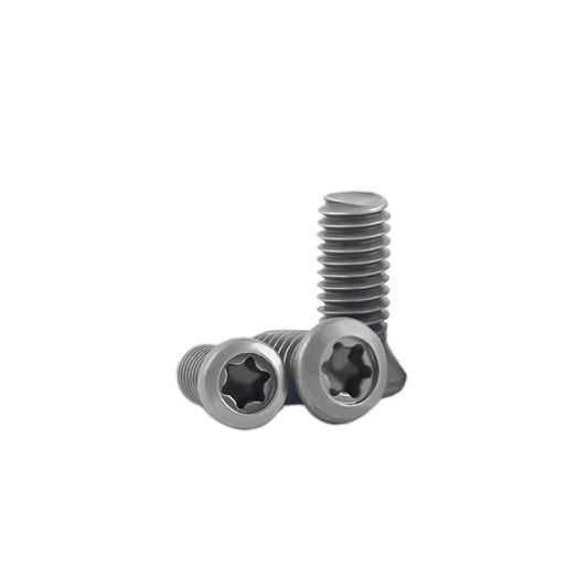 Torx Screw Spanner