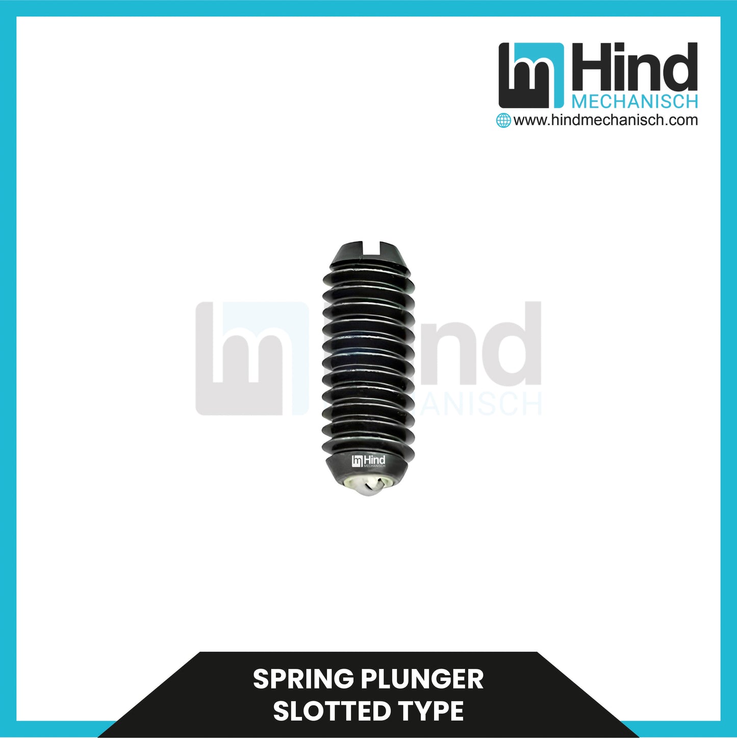 Spring Plunger Slotted Type